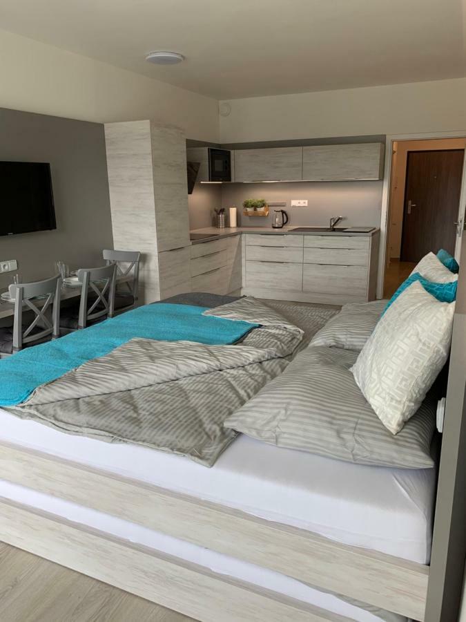 Apartman Denisa Липно-над-Влтавой Экстерьер фото